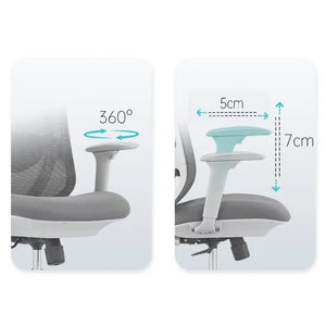 Silla Ejecutiva Bank - Gama Profesional