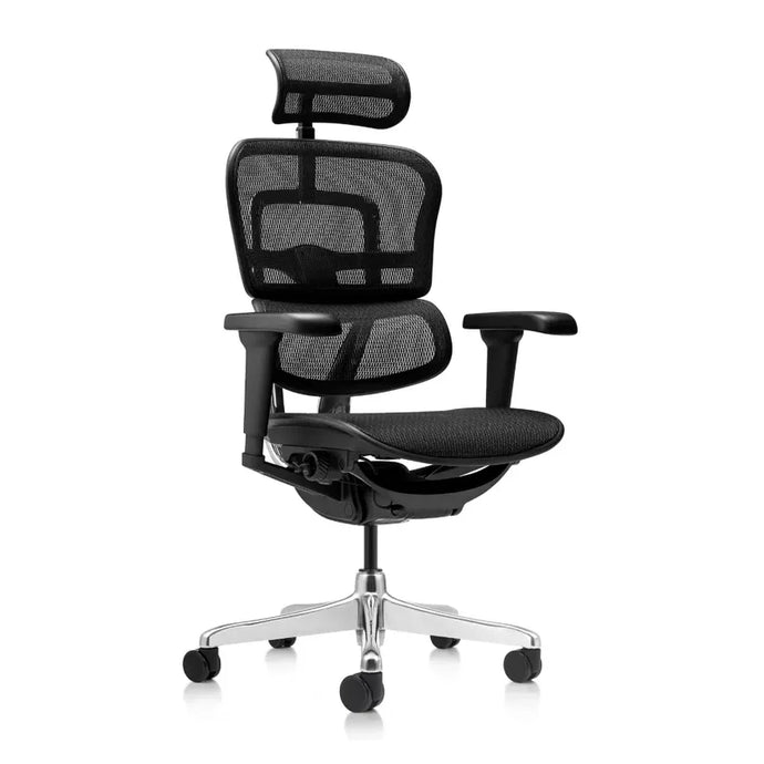 Silla Ergonómica Ergohuman Project - Alta Gama